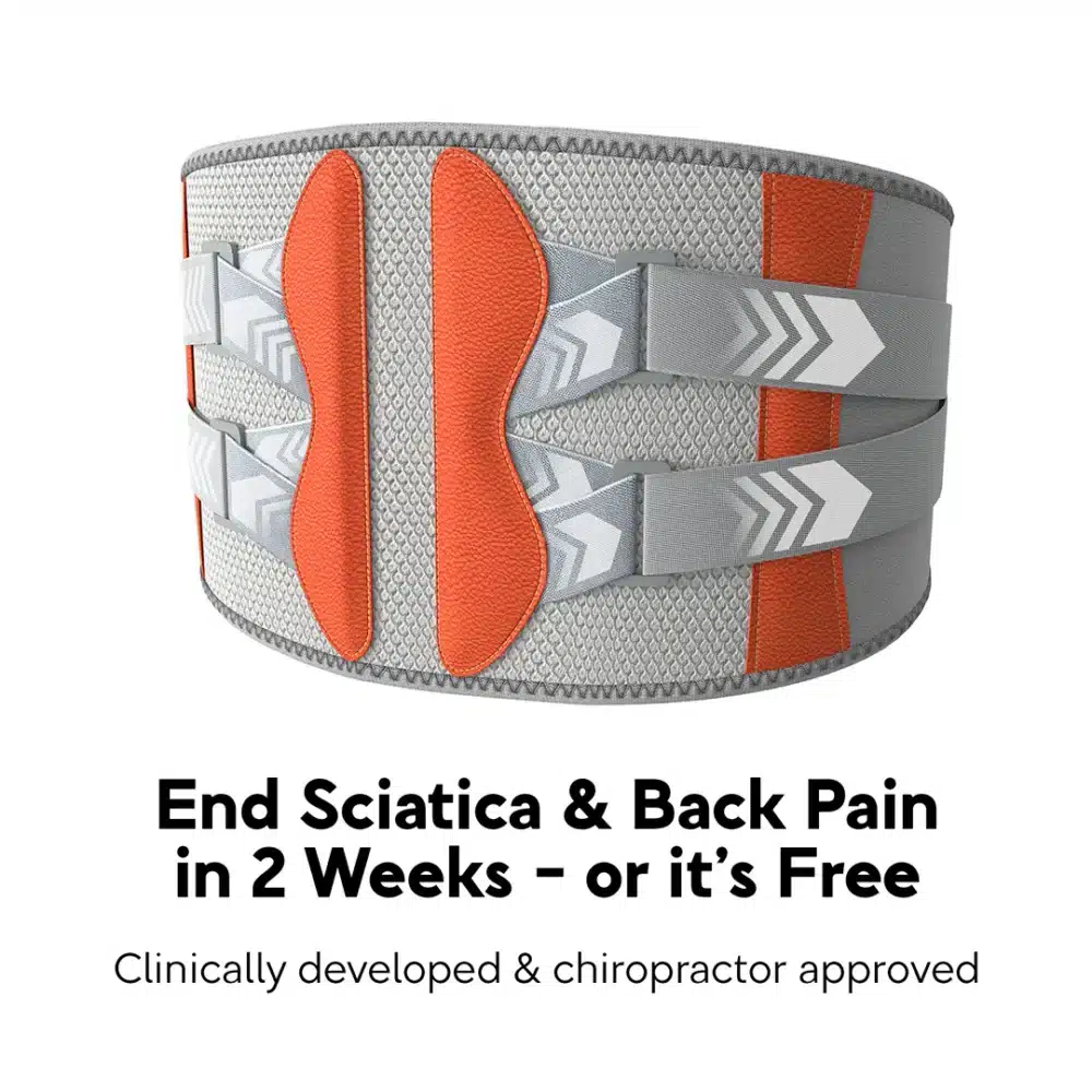 Hugterra™ Belt (official Retailer) 2025